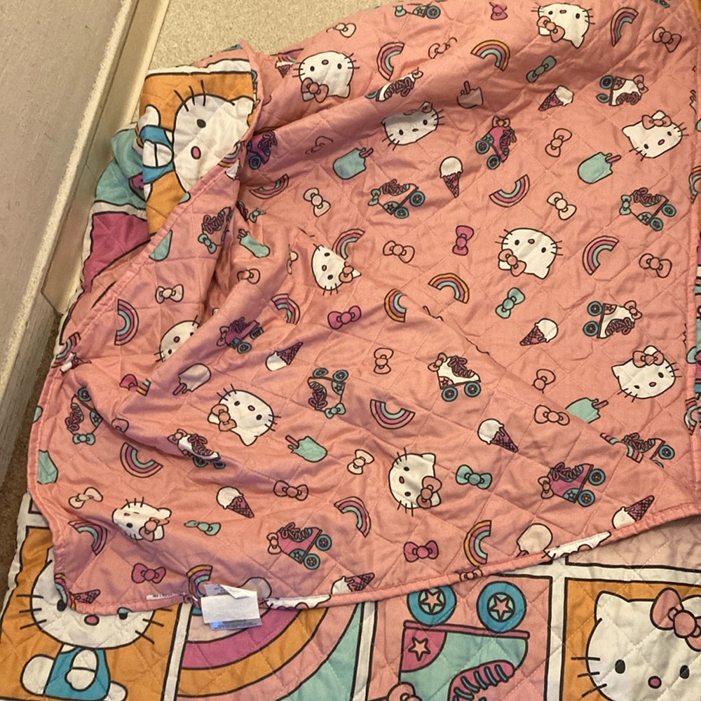 COPY - Hello Kitty Pink Blanket northwest brand
